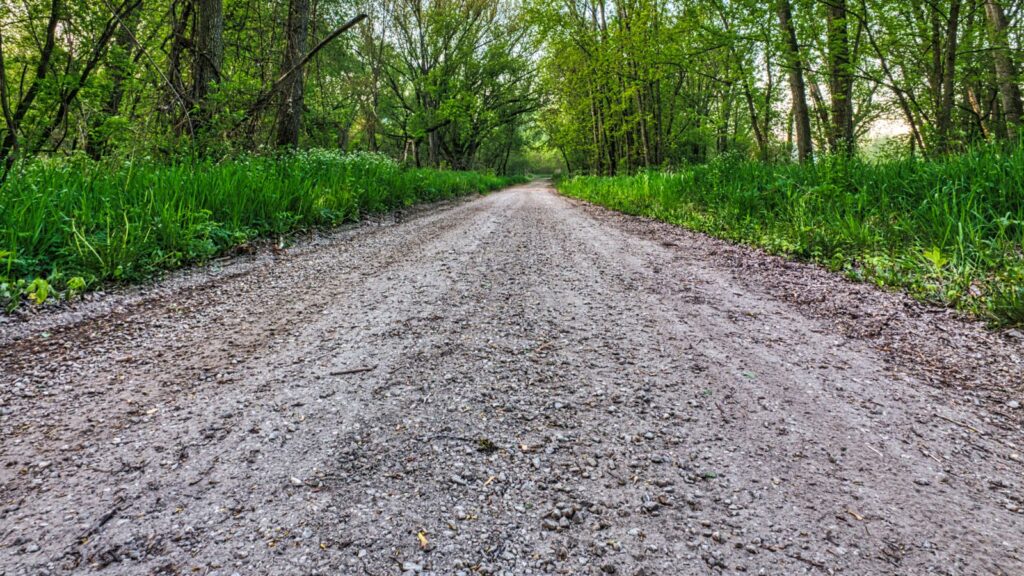 Peaceful rural gravel road in forested area during summertime, ideal for nature travel imagery.